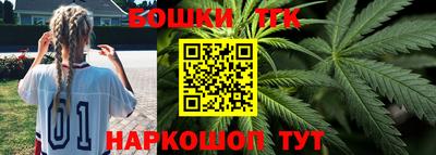 индика Нальчик