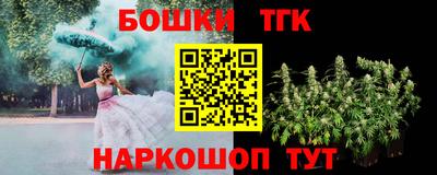 индика Нальчик