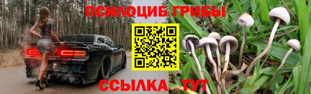 Галлюциногенные грибы Psilocybine cubensis Чебаркуль